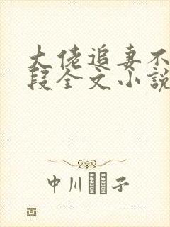 大佬追妻不择手段全文小说阅读全文