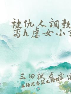 被仇人调教成禁脔h虐女小说