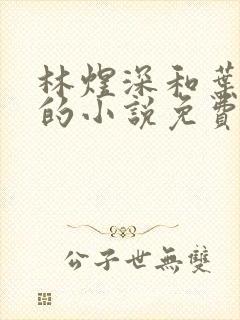 林煜深和叶清瑶的小说免费阅读