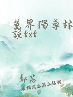 万界独尊林枫小说txt