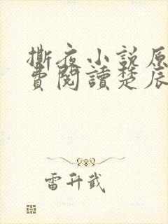 撕夜小说原著免费阅读楚辰安