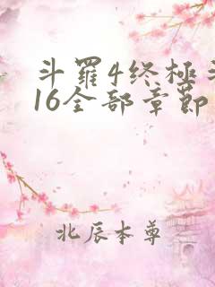 斗罗4终极斗罗16全部章节