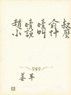 赵晴晴俞叔原著小说叫什么名字