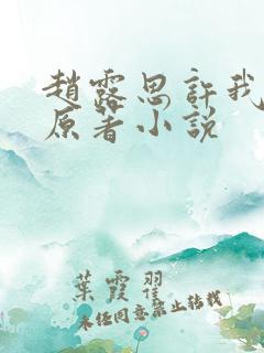 赵露思许我耀眼原著小说