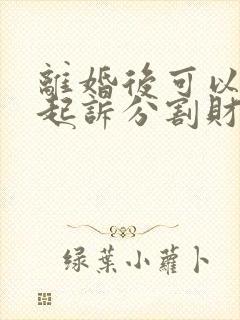 离婚后可以重新起诉分割财产