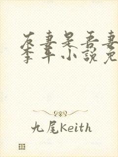 友妻是吾妻冷艳李平小说免费阅读