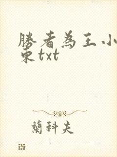 胜者为王小说陈东txt