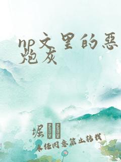 np文里的恶毒炮灰