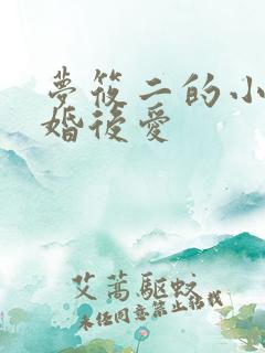 梦筱二的小说先婚后爱