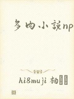 多肉小说np