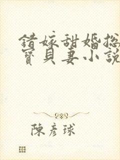 错嫁甜婚总裁的宝贝妻小说完整版