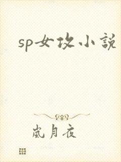 sp女攻小说