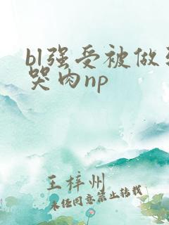 bl强受被做到哭肉np