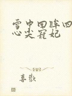 雪中回眸四爷的心尖宠妃