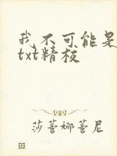 我不可能是剑神txt精校