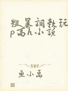 粗暴调教玩弄np高h小说