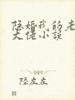 隐婚我的老公是大佬小说