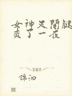 女神叉开腿让我爽了一夜