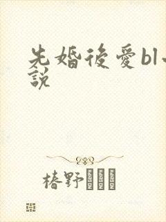 先婚后爱bl小说