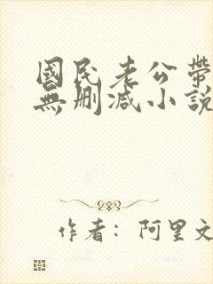 国民老公带回家无删减小说