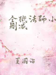 全职法师小说无删减