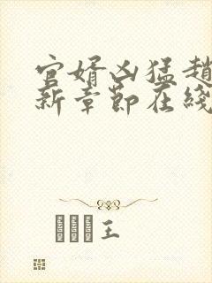 官婿凶猛赵阳最新章节在线阅读