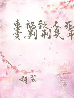 车祸致人死亡主责,判刑几年