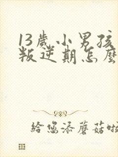 13岁小男孩儿叛逆期怎么办?