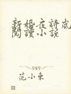新婚夜诗岚全文阅读小说