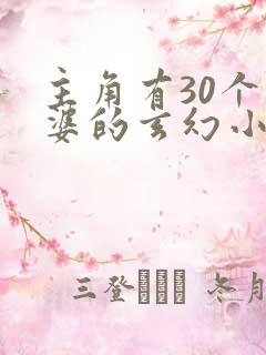主角有30个老婆的玄幻小说