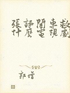 张译开车救老人什么电视剧