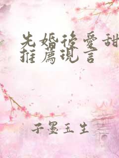 先婚后爱甜宠文推荐现言