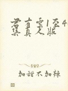 君有云1至40集真人版