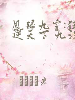 凤归九霄:狂妃逆天下 九汐公子