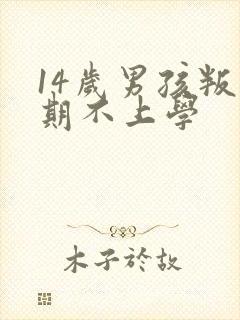 14岁男孩叛逆期不上学