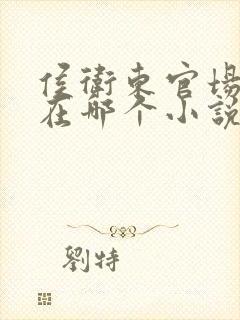 侯卫东官场笔记在哪个小说app可以看