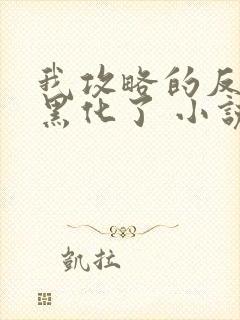 我攻略的反派都黑化了 小说