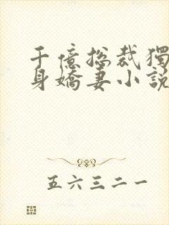 千亿总裁独宠替身娇妻小说完整