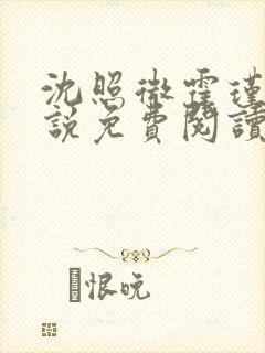 沈照微霍瑾舟小说免费阅读最新章节