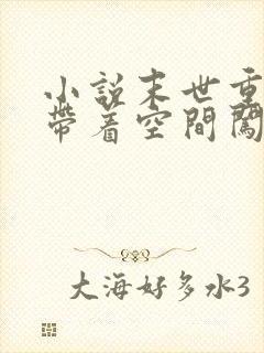 小说末世重生之带着空间闯末世在线观看