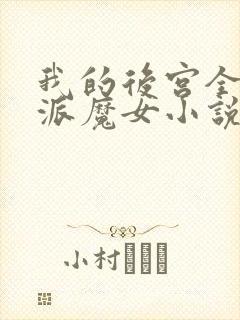 我的后宫全是反派魔女小说在线看