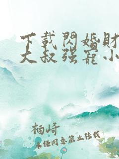 下载闪婚财阀:大叔强宠小娇妻小说主人公
