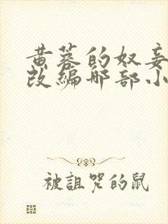 黄蓉的奴妾小说改编哪部小说