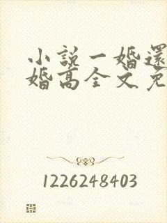 小说一婚还比一婚高全文免费阅读