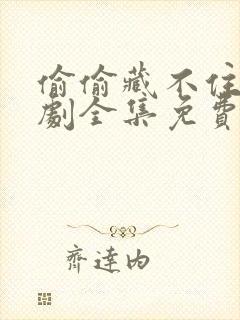 偷偷藏不住电视剧全集免费11