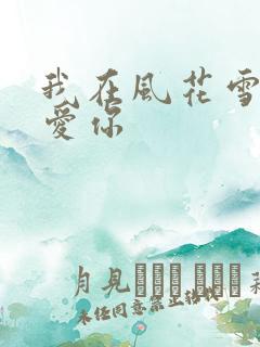 我在风花雪月里爱你