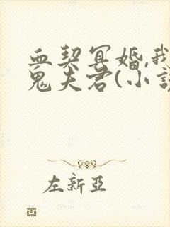 血契冥婚,我的鬼夫君(小说)