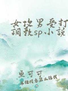 女攻男受打屁股调教sp小说