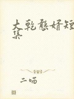 大乾憨婿短剧合集