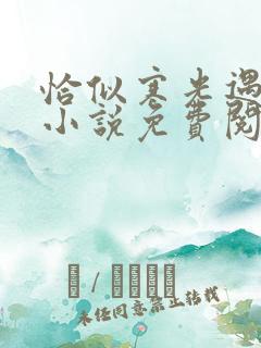 恰似寒光遇骄阳小说免费阅读完整版